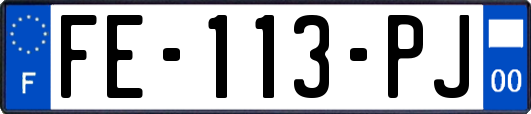 FE-113-PJ
