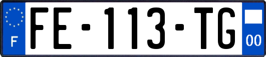 FE-113-TG