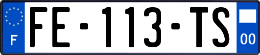 FE-113-TS