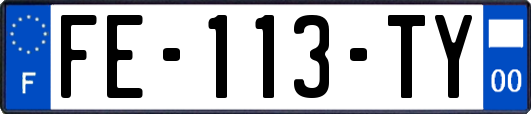 FE-113-TY