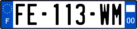 FE-113-WM