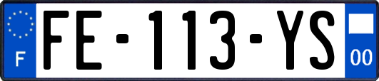 FE-113-YS