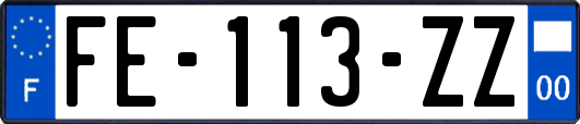 FE-113-ZZ