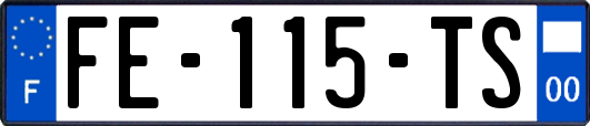 FE-115-TS