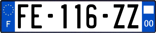 FE-116-ZZ