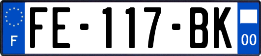 FE-117-BK