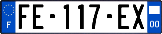 FE-117-EX
