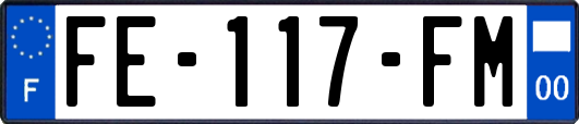 FE-117-FM