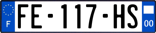 FE-117-HS