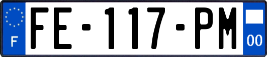 FE-117-PM