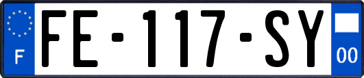 FE-117-SY