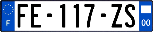 FE-117-ZS