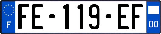 FE-119-EF