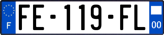 FE-119-FL