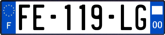 FE-119-LG