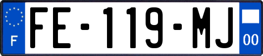 FE-119-MJ