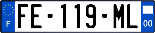 FE-119-ML