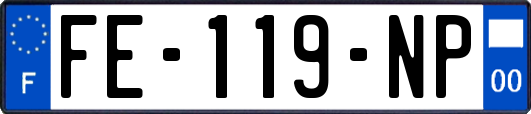 FE-119-NP