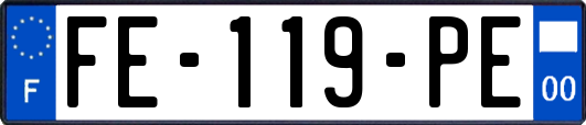 FE-119-PE