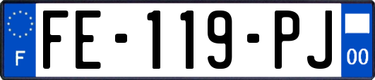 FE-119-PJ