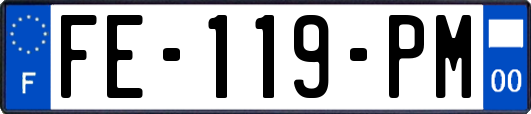 FE-119-PM
