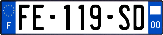FE-119-SD