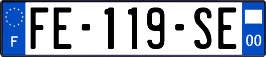 FE-119-SE