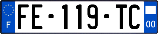 FE-119-TC