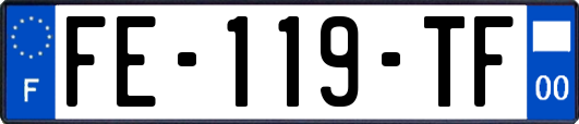 FE-119-TF