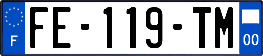 FE-119-TM