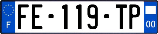 FE-119-TP