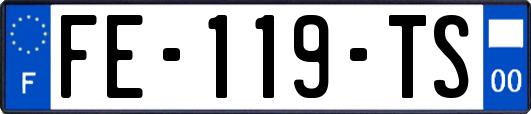 FE-119-TS