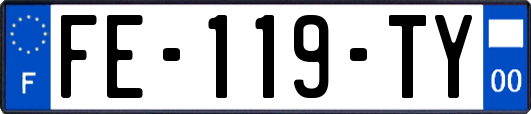 FE-119-TY