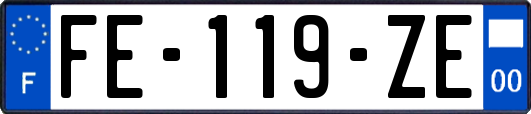 FE-119-ZE