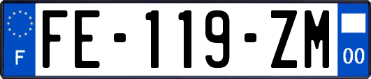 FE-119-ZM