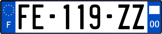 FE-119-ZZ