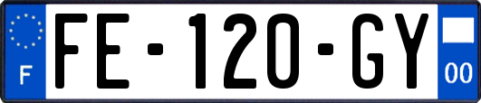 FE-120-GY