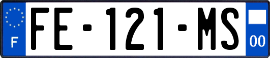 FE-121-MS
