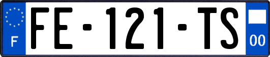 FE-121-TS