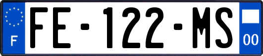 FE-122-MS