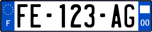 FE-123-AG