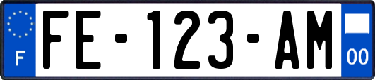 FE-123-AM
