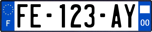 FE-123-AY