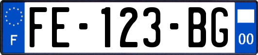 FE-123-BG