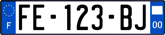 FE-123-BJ