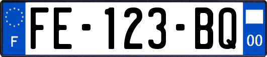 FE-123-BQ