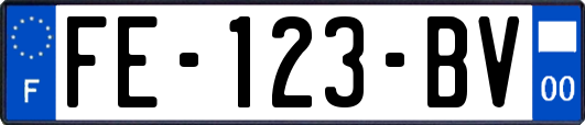 FE-123-BV
