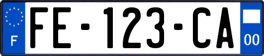 FE-123-CA