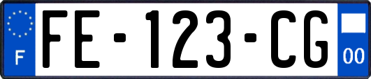 FE-123-CG