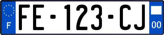 FE-123-CJ